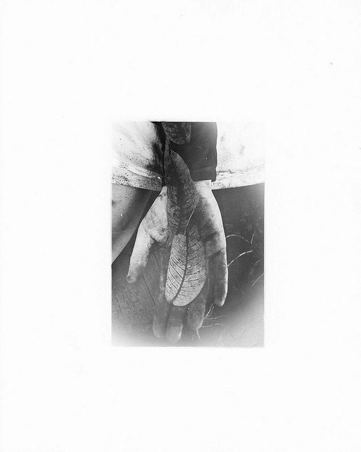 Archillect ID 64616