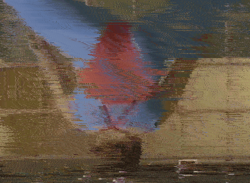 Archillect ID 64667