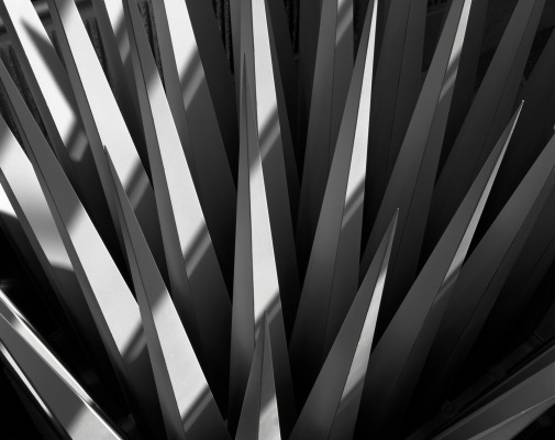 Archillect ID 64719