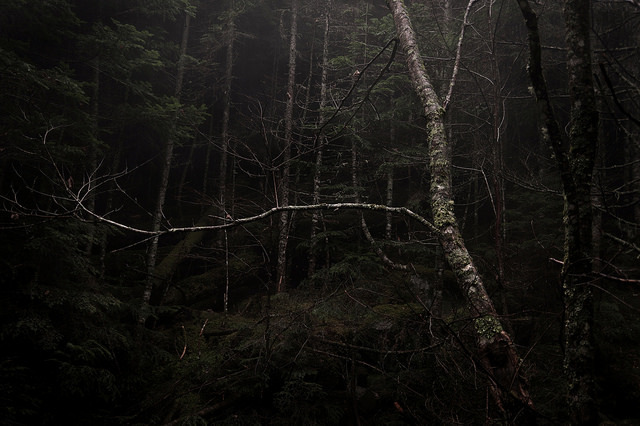 Archillect ID 64820