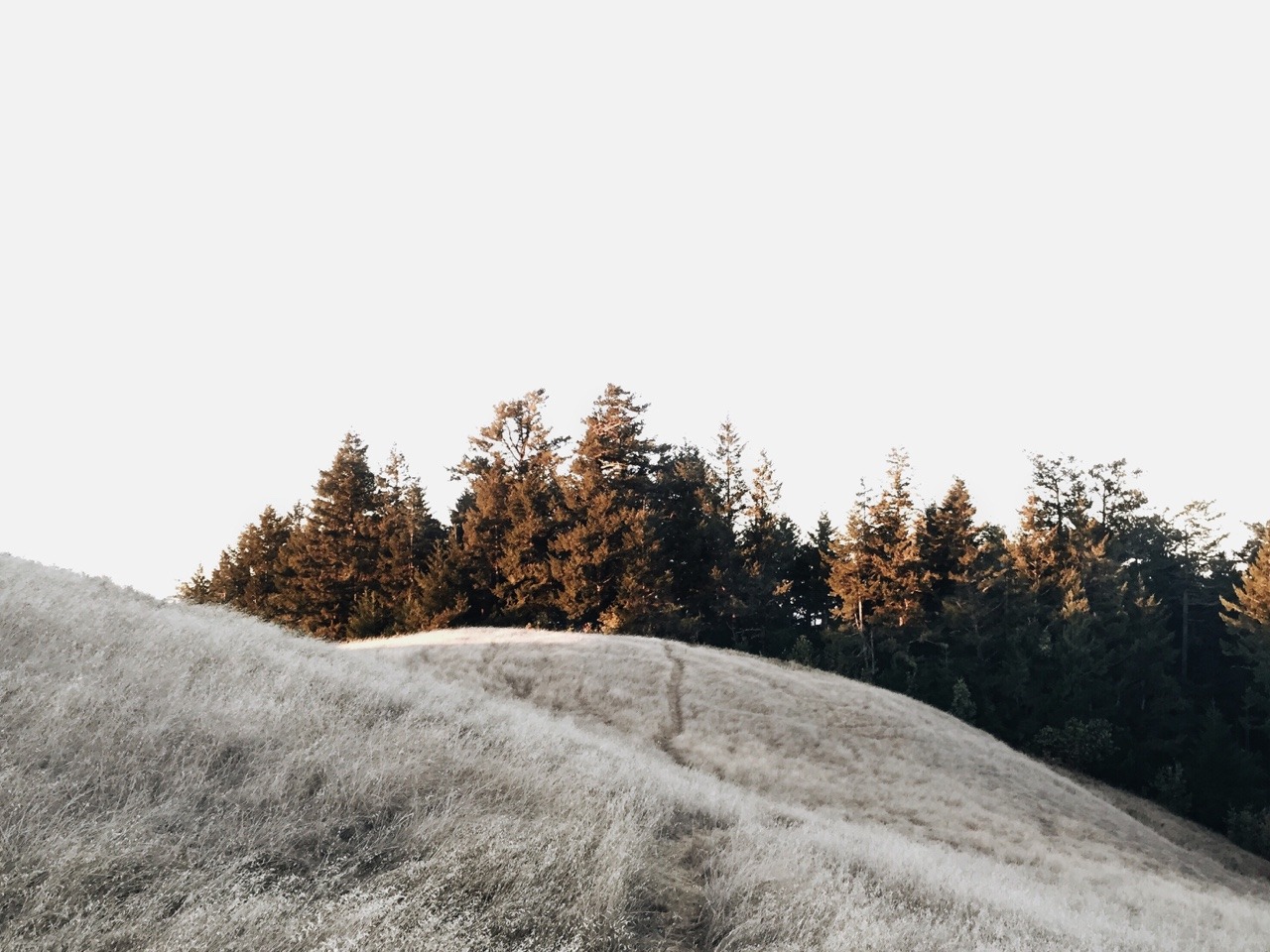 Archillect ID 64854