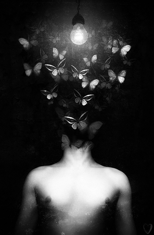 Archillect ID 64895