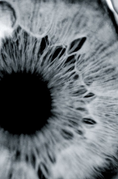 Archillect ID 64945