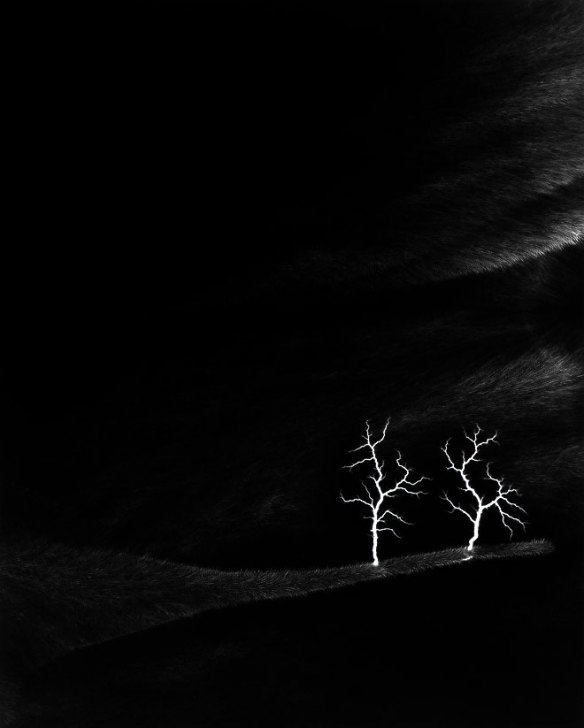 Archillect ID 64990