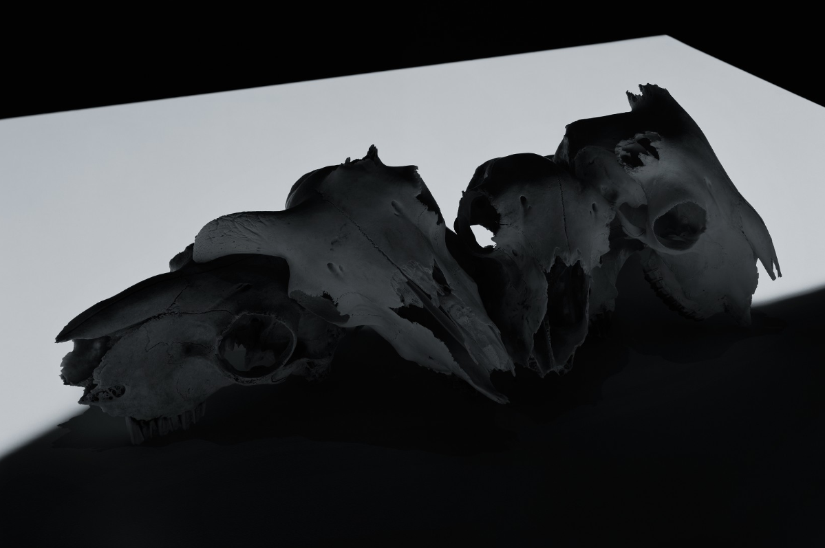 Archillect ID 65002