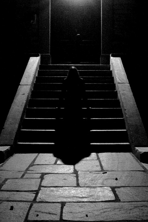 Archillect ID 65024