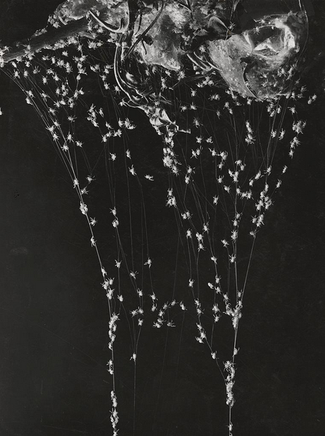 Archillect ID 65117