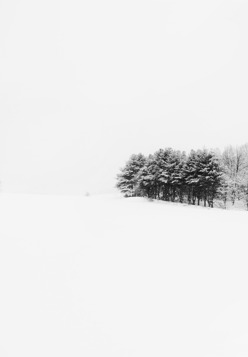 Archillect ID 65285