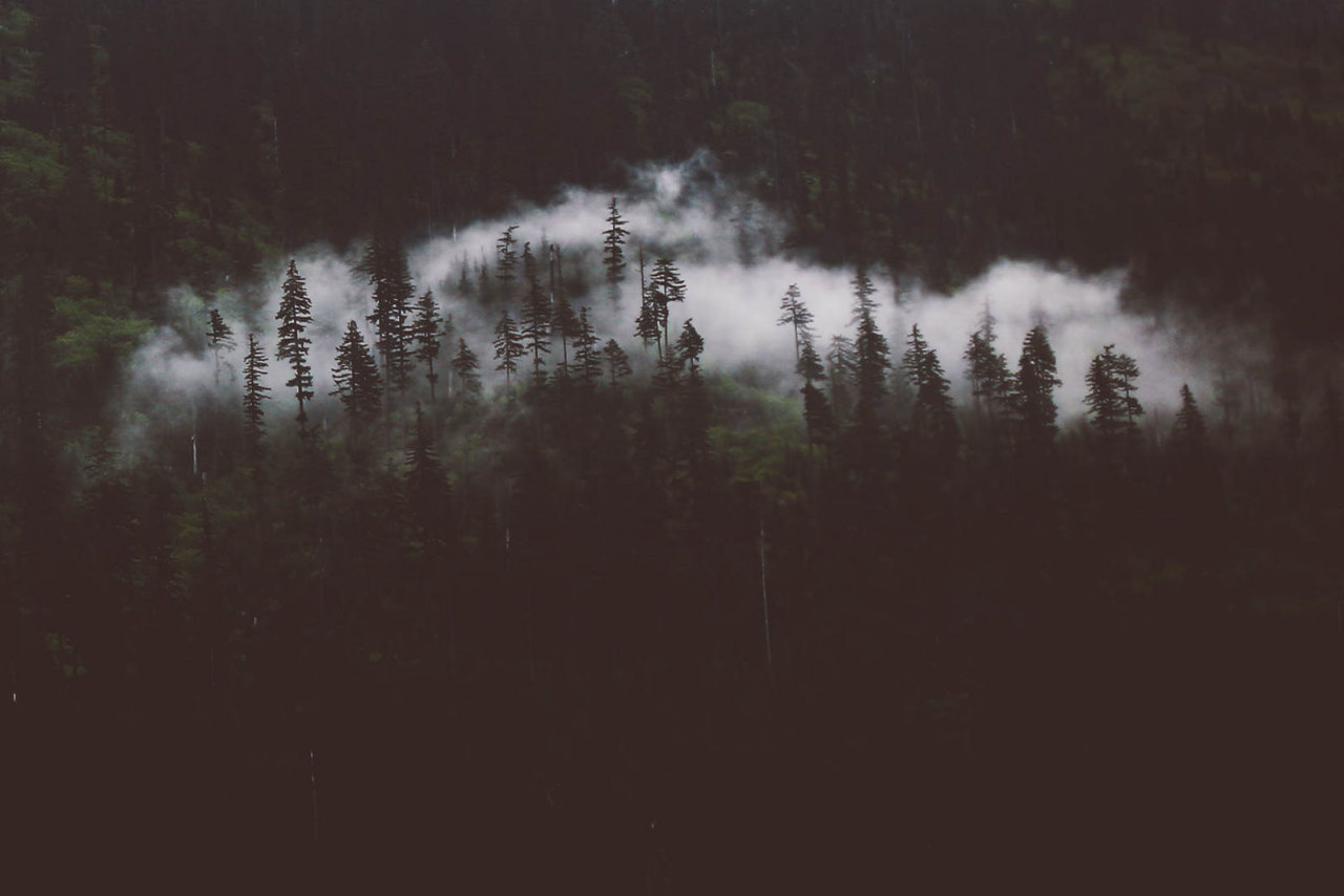 Archillect ID 65351