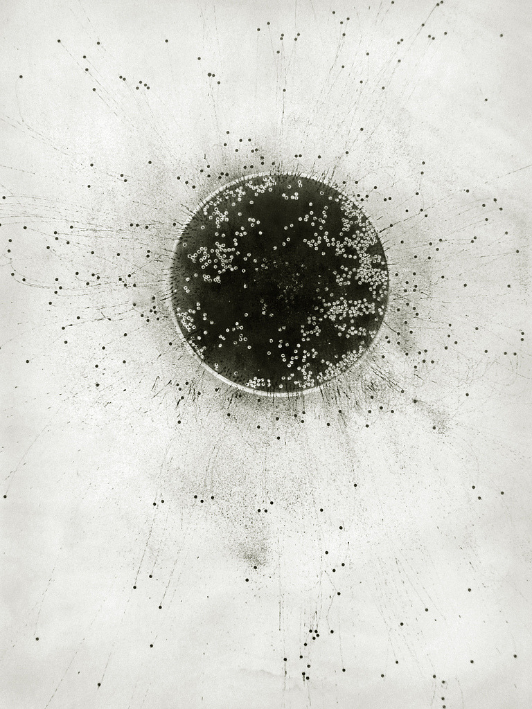 Archillect ID 65455