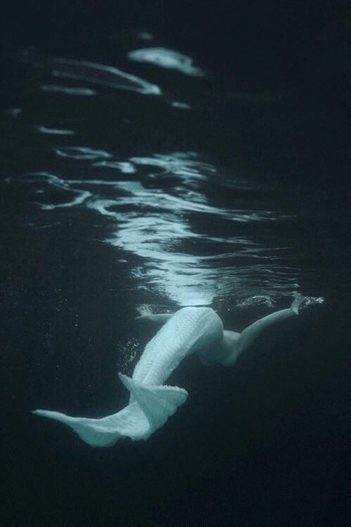 Archillect ID 65475