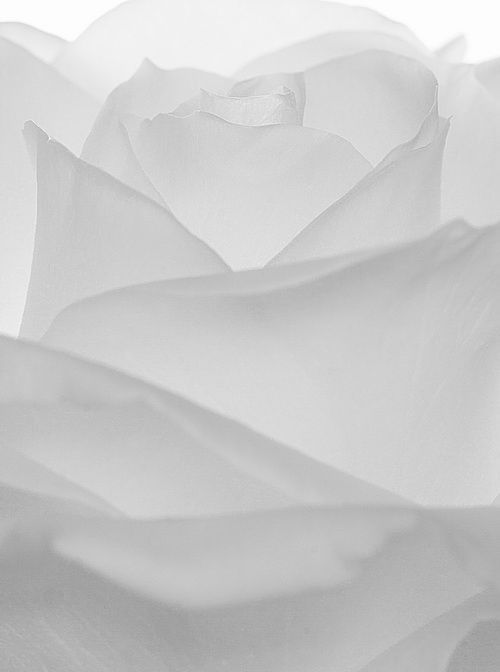 Archillect ID 65492