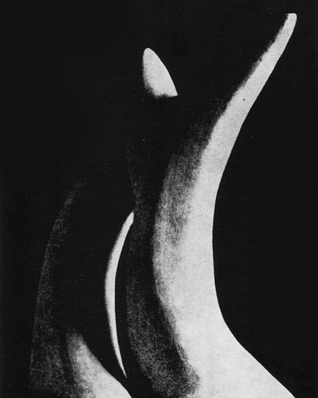 Archillect ID 65504