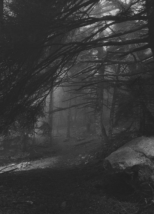 Archillect ID 65636