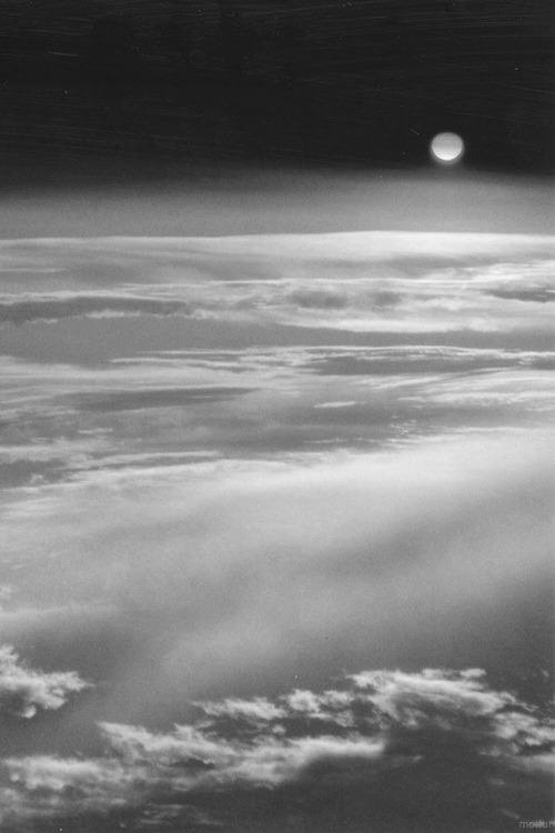 Archillect ID 65663