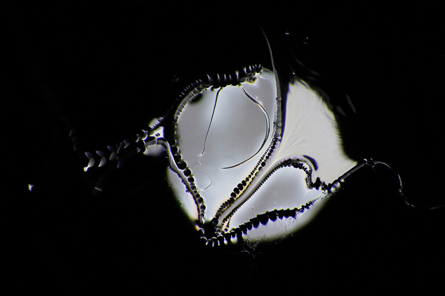 Archillect ID 65750