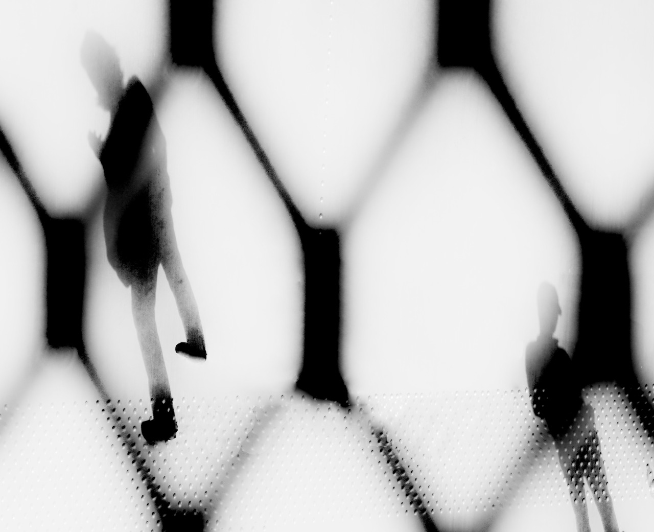 Archillect ID 65779
