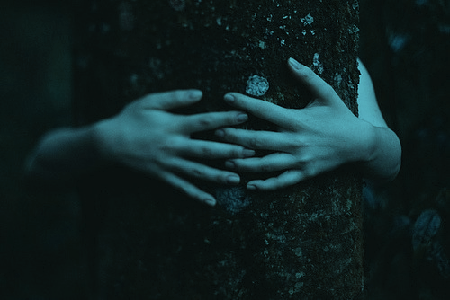 Archillect ID 65801