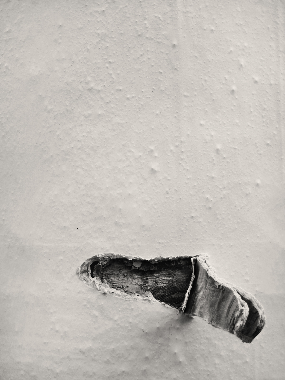 Archillect ID 65822