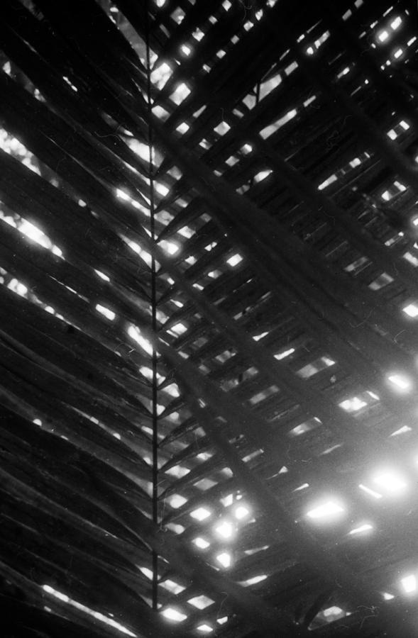 Archillect ID 65961