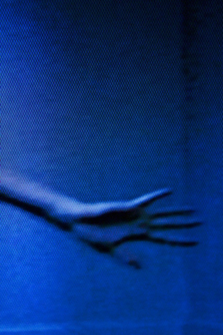 Archillect ID 65967