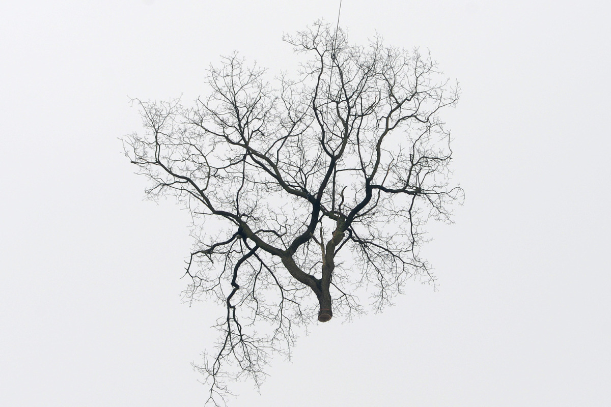 Archillect ID 66000