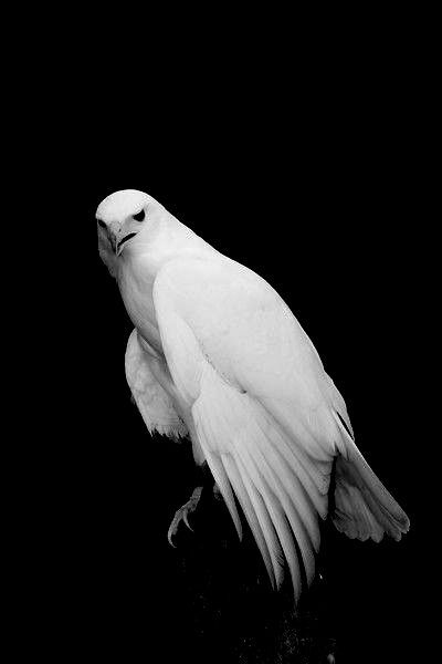 Archillect ID 66090