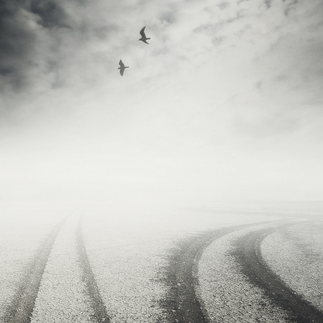 Archillect ID 66177