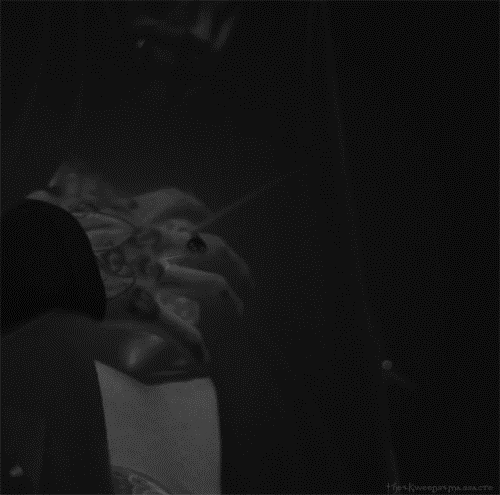 Archillect ID 66197