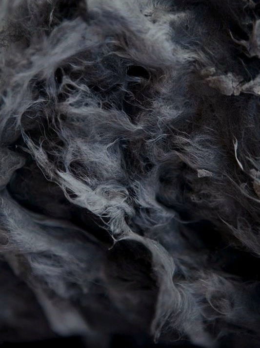 Archillect ID 66225