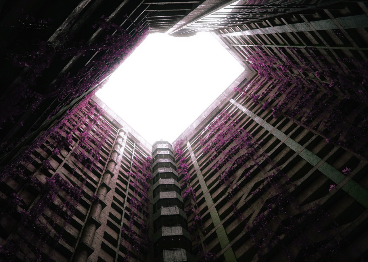 Archillect ID 66492