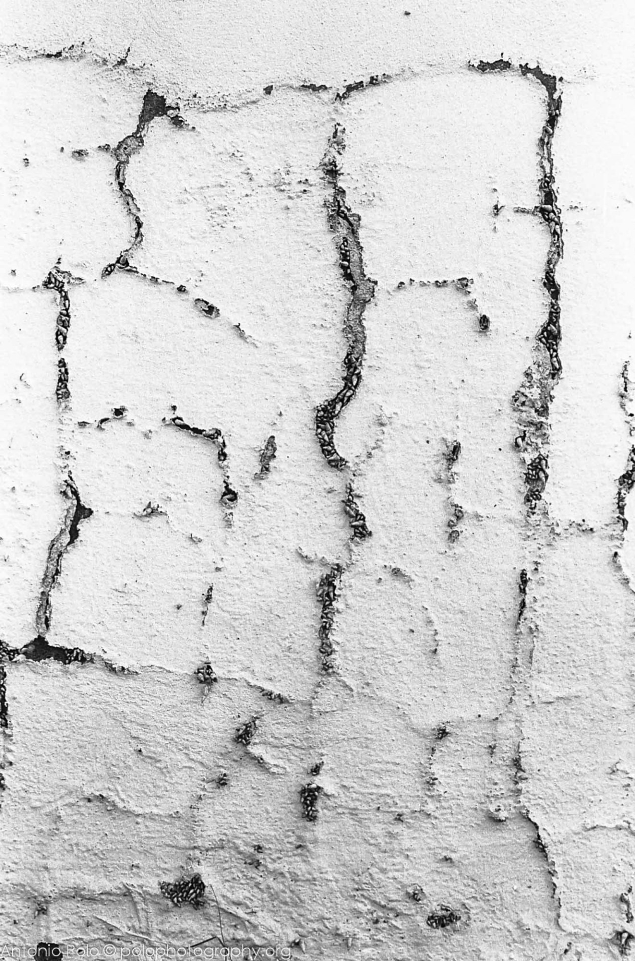 Archillect ID 66520