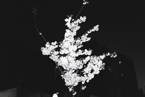 Archillect ID 66650