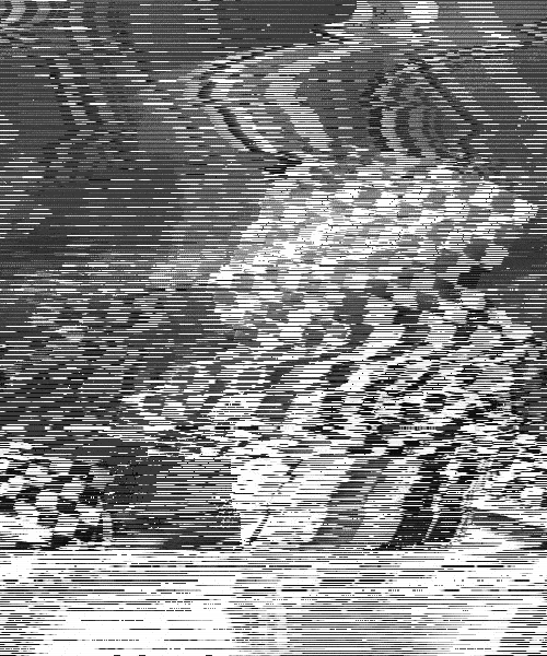 Archillect ID 66681