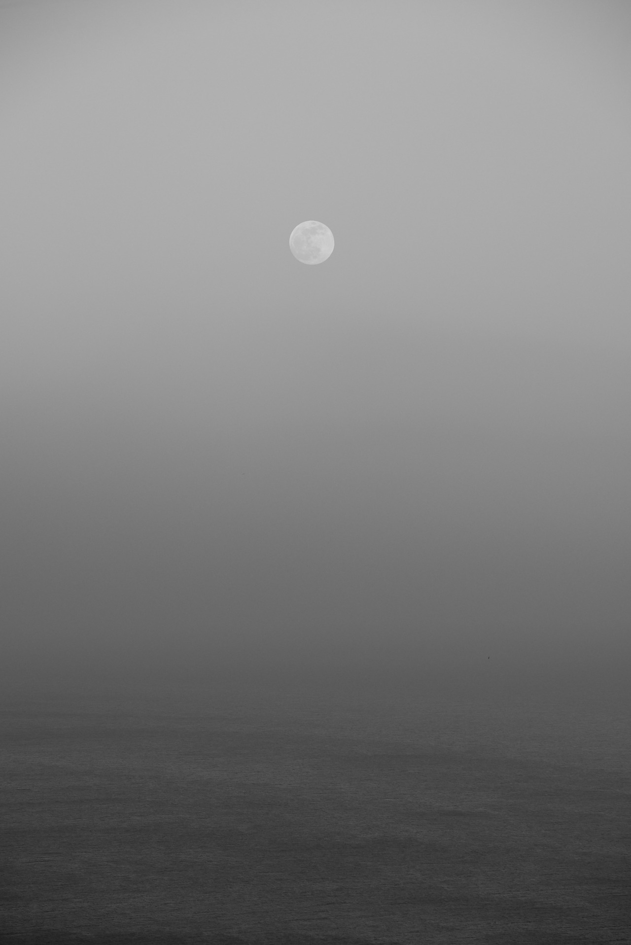 Archillect ID 66771
