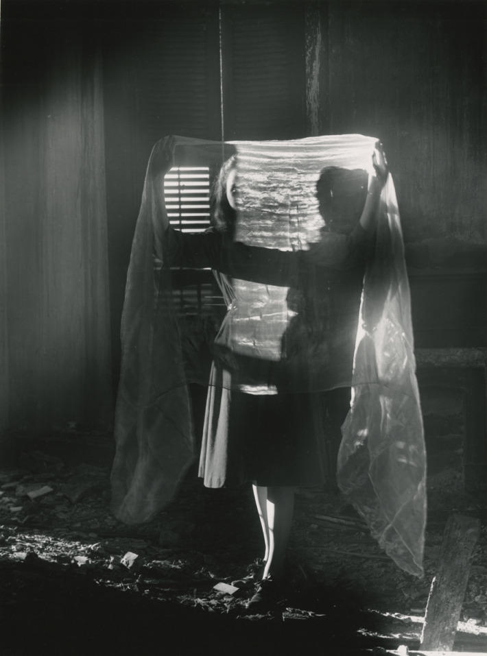 Archillect ID 66808