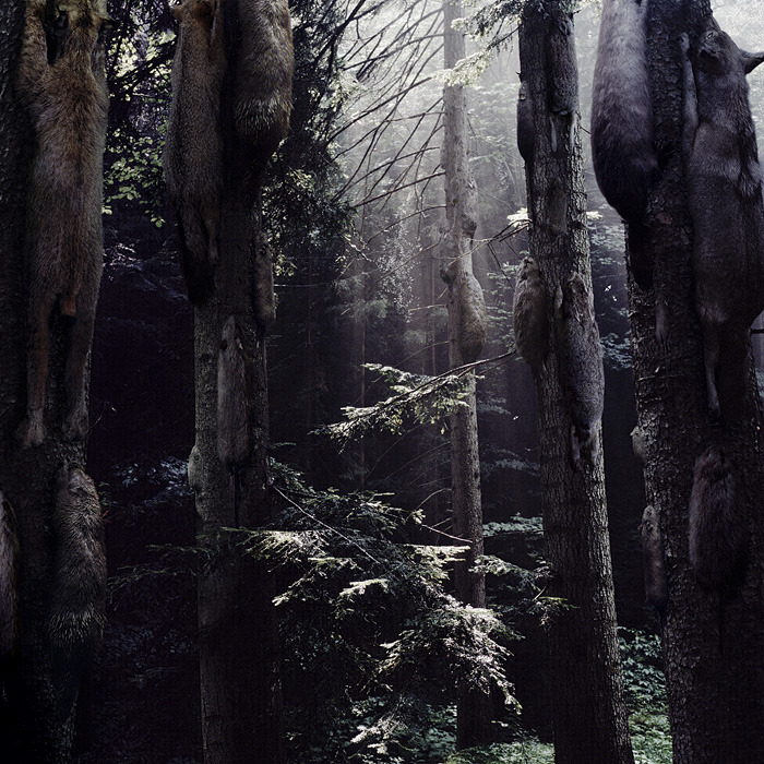 Archillect ID 66811