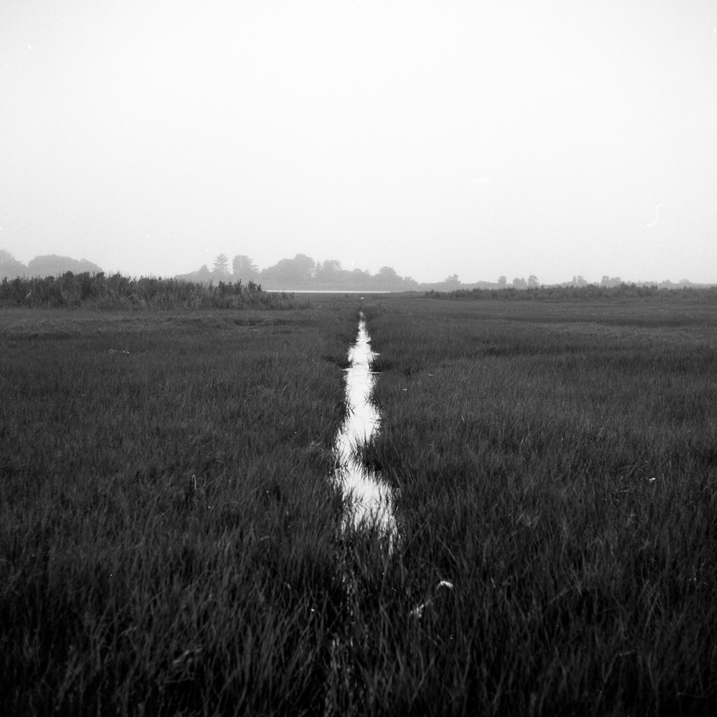 Archillect ID 66821