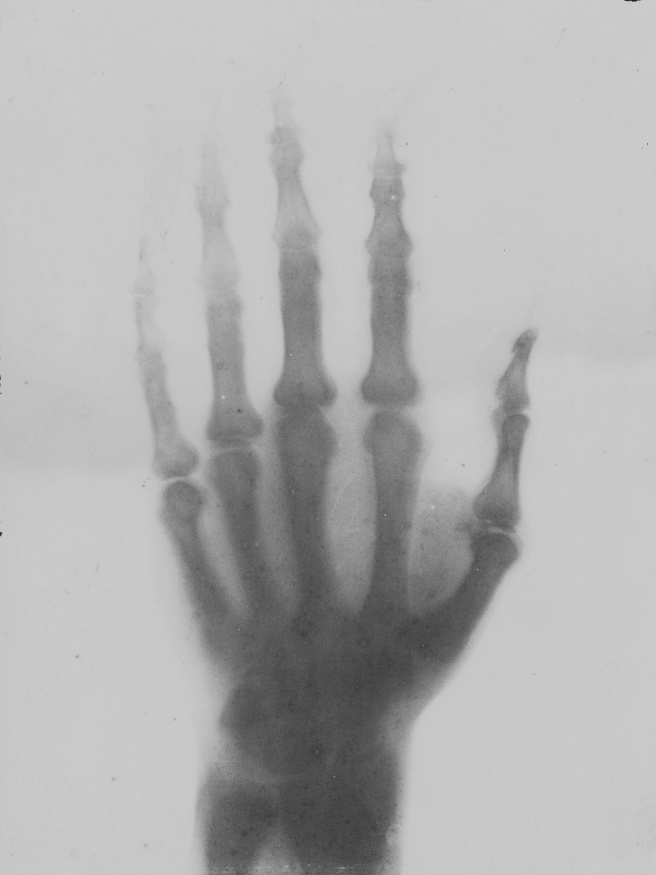 Archillect ID 66977