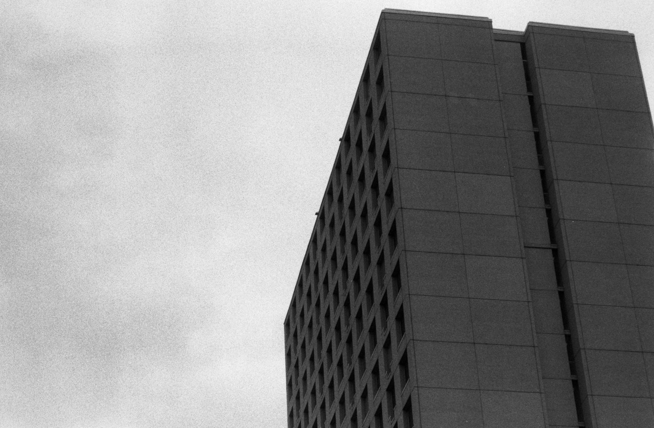 Archillect ID 67078