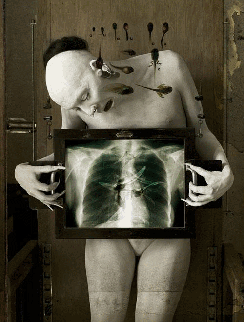 Archillect ID 67112