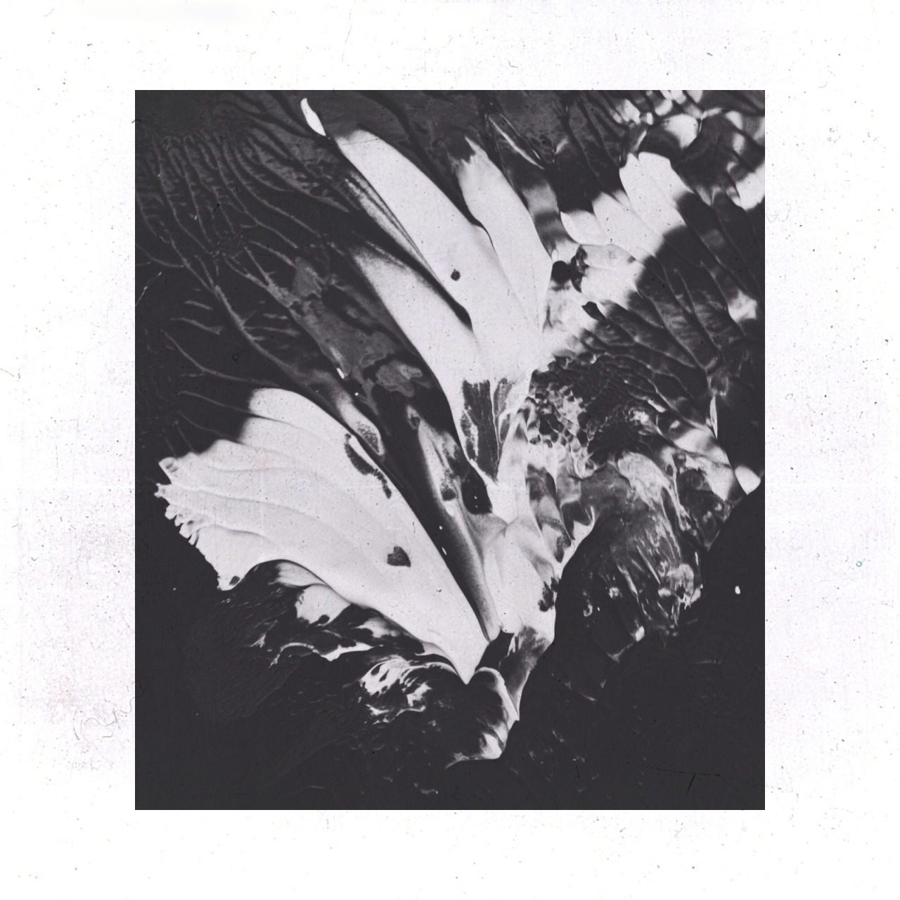 Archillect ID 67114