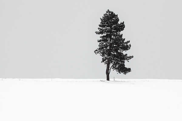 Archillect ID 67208