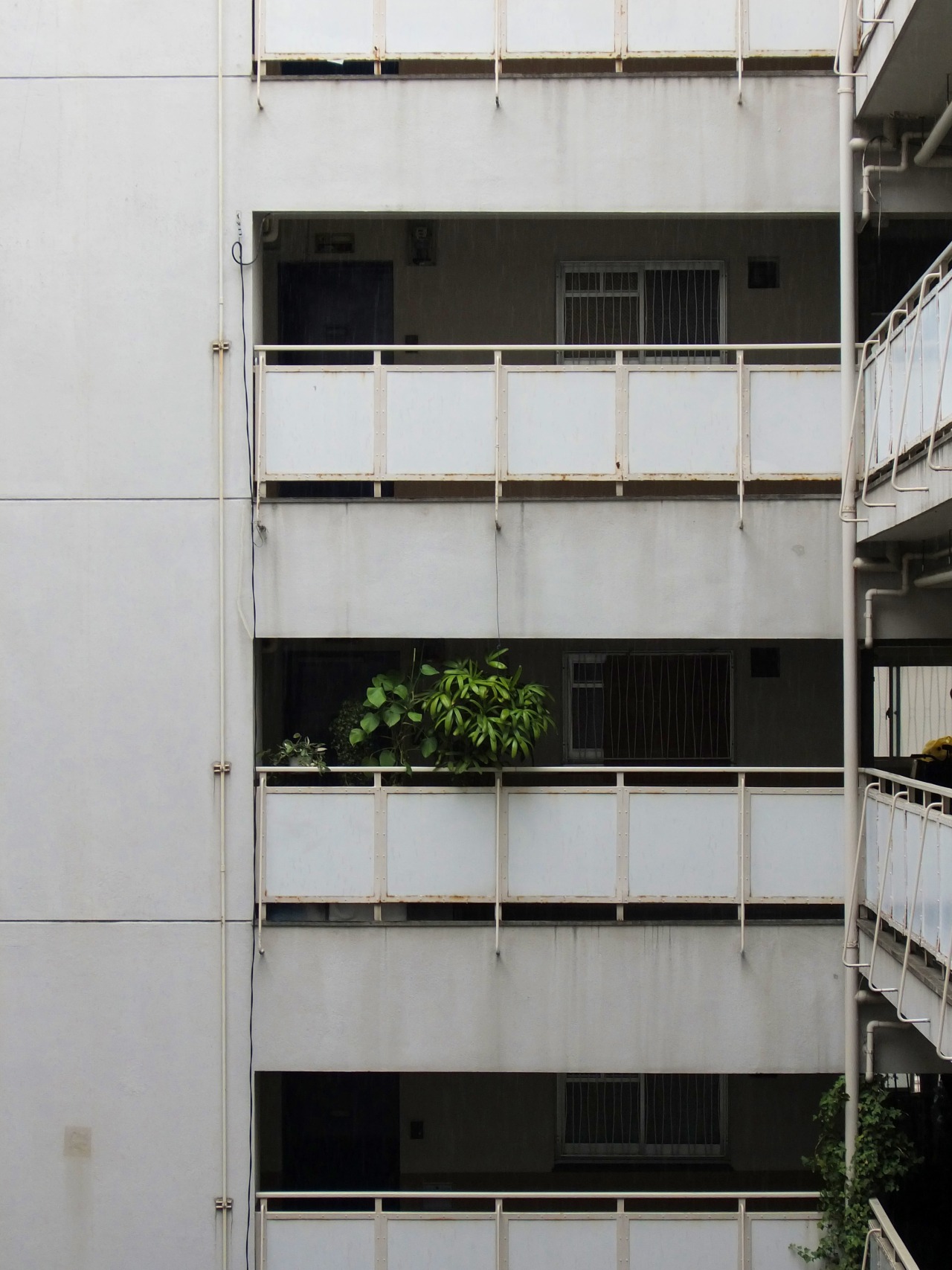 Archillect ID 67209