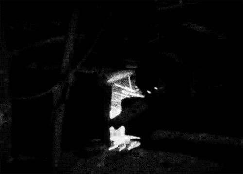 Archillect ID 67302