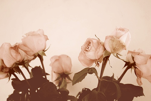 Archillect ID 67337