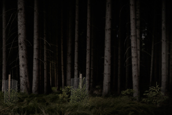 Archillect ID 67513