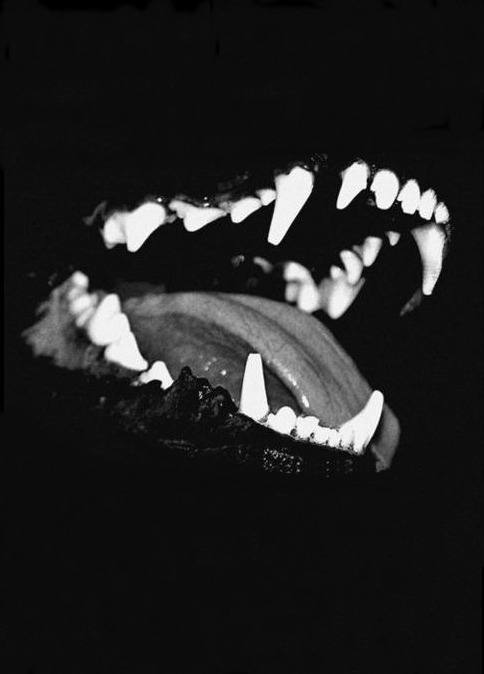 Archillect ID 67590