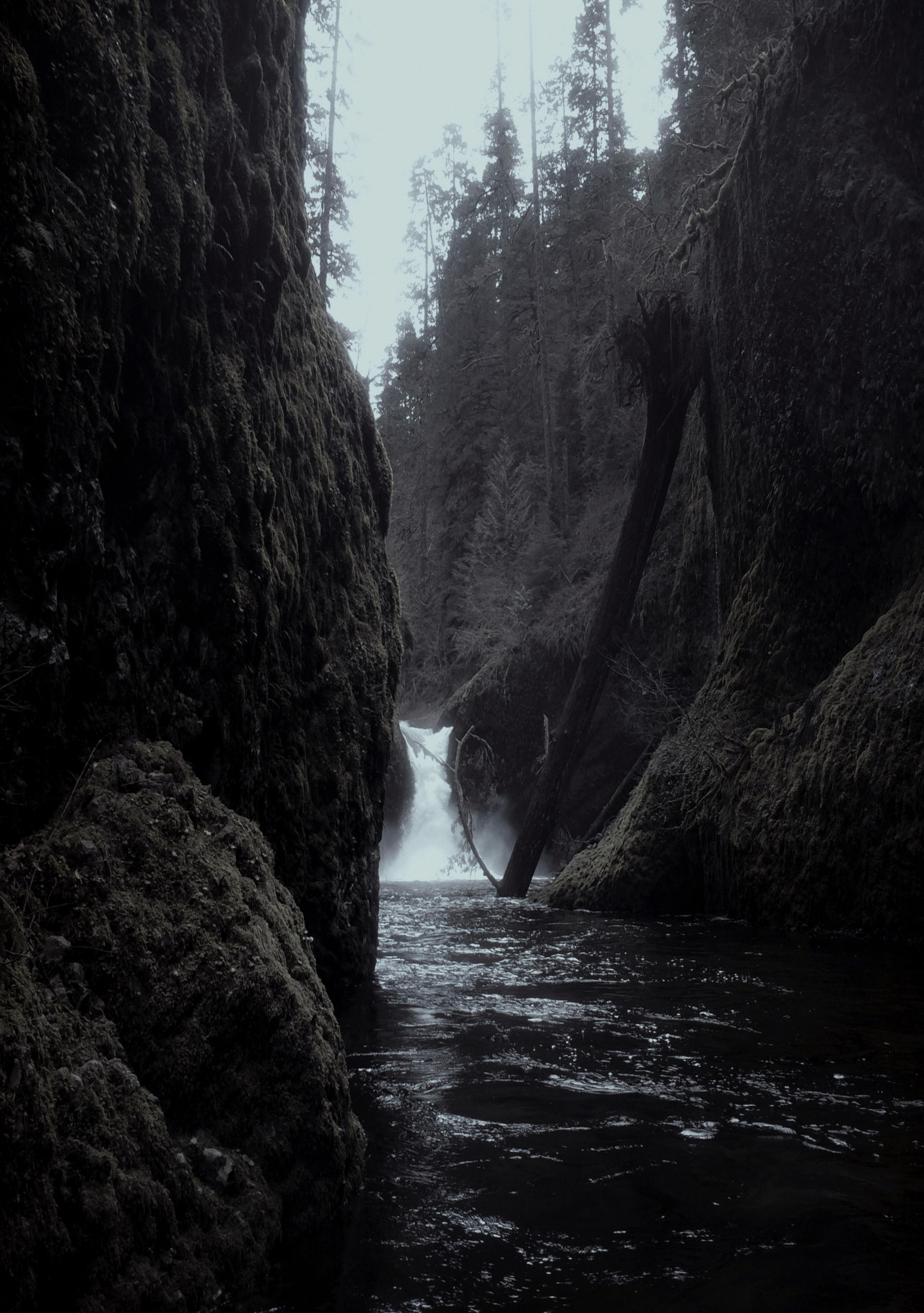 Archillect ID 67592