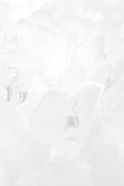 Archillect ID 67731